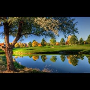 Meet your Posher, Nimra